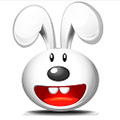 超级兔子2013 2.0.0.3 简体中文版