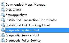 win10ϵͳοdiagnostic system host