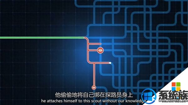 зintel CPU/۶©ʲô