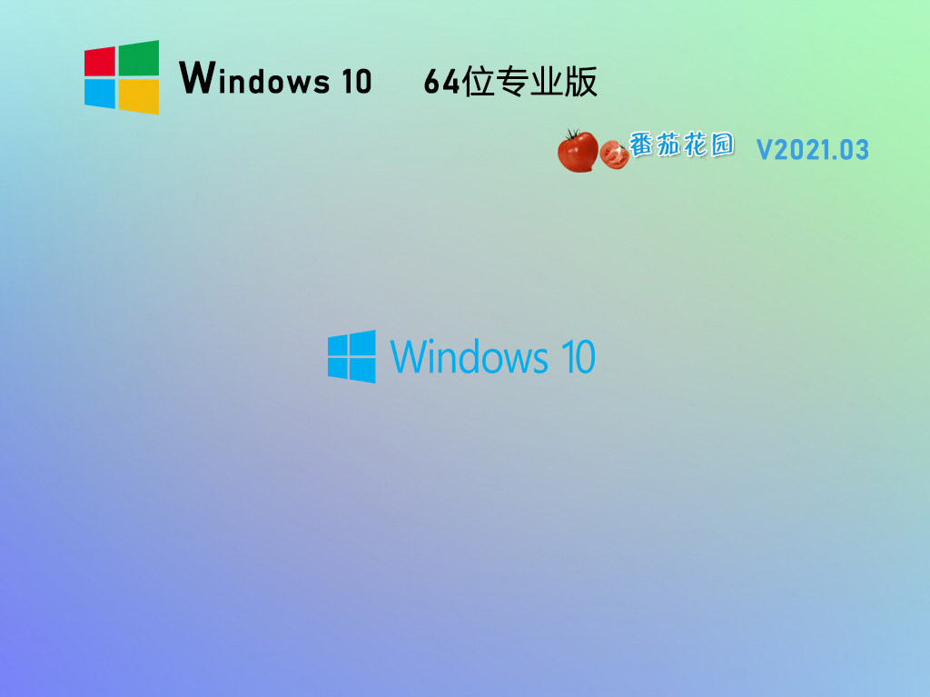 ѻ԰Win10 20H2 64λרҵ澵 V2021.03