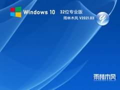 ľ GHOST WIN10 32λ רҵ V2021.03