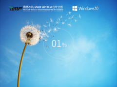 ľWin10 64λԶרҵ V2021.07