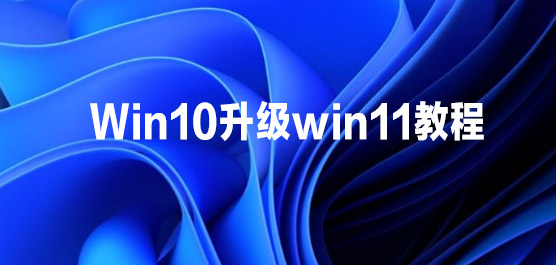 win10win11̳