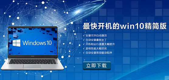 쿪Win10